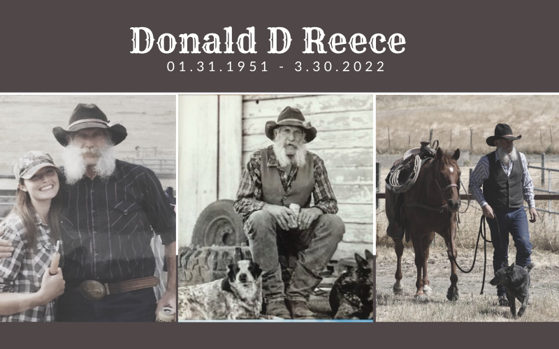 In Memory of A Genuine Cowboy